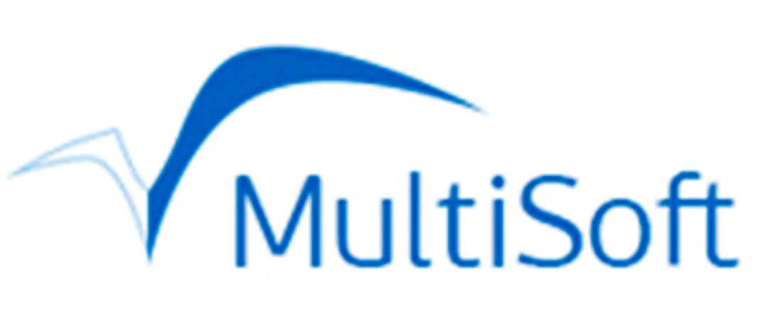 Multisoft Sistems логотип изображение